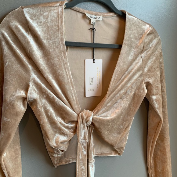 Velvet Long Sleeve ✨ - Picture 2 of 6